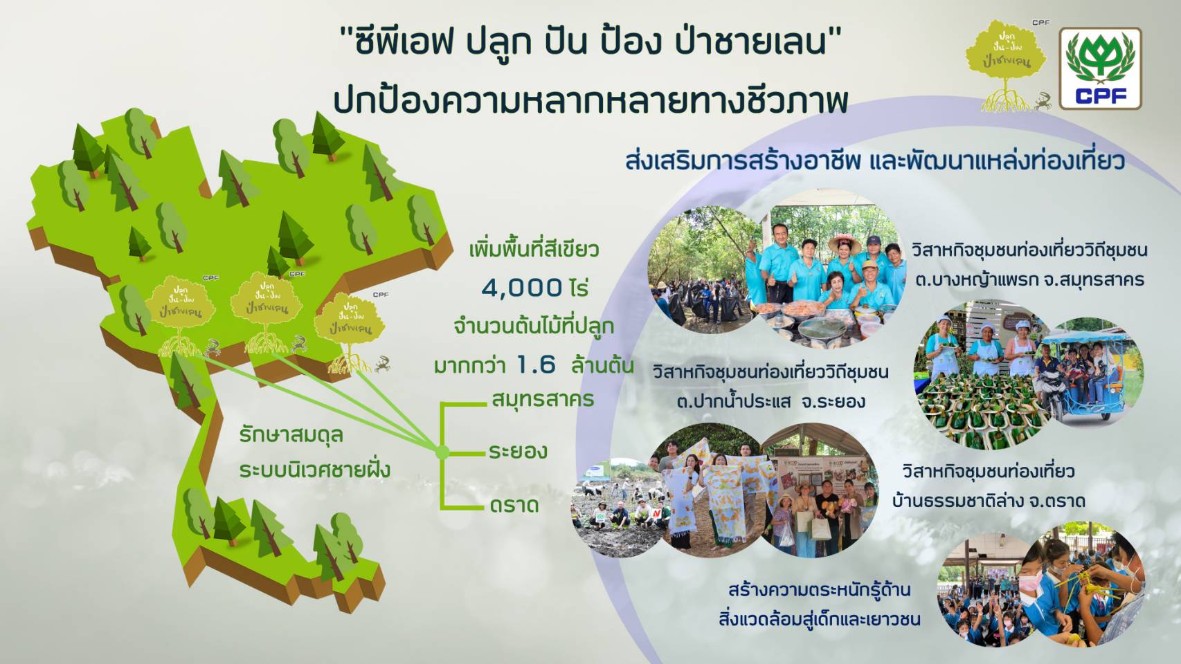 CP Foods Commits to Biodiversity Protection on National Mangrove Forest Day CP Foods Commits to Biodiversity Protection on National Mangrove Forest Day
